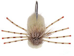 Turneffe crab fly for permit and bonefish